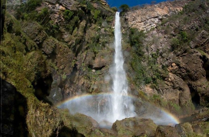  5 lugares para conhecer em um bate-volta de carro em Formosa