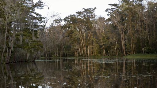  O mistério do pântano onde cadáveres milenares não se decompõem