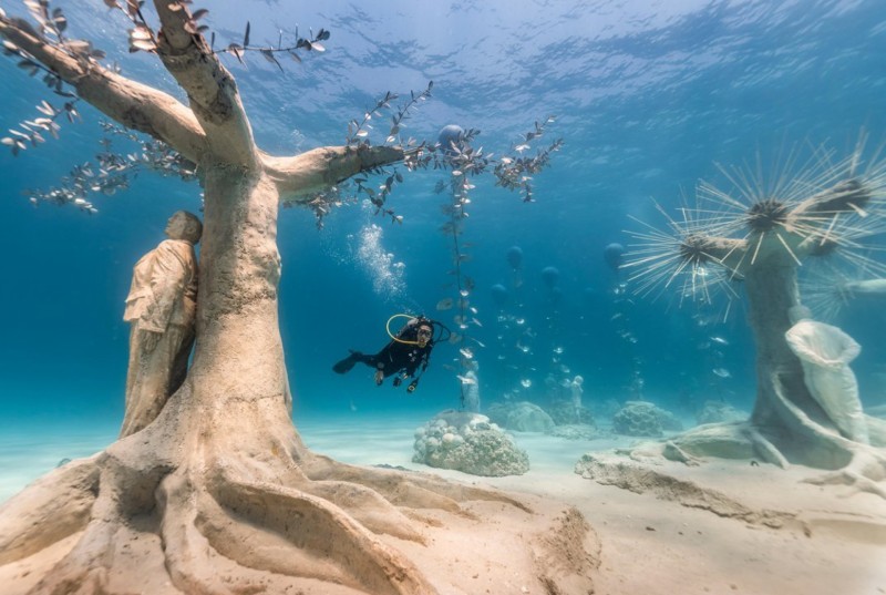  Floresta no Mar Mediterrâneo? Conheça museu subaquático no Chipre