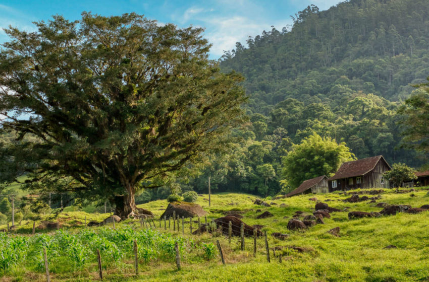  Três vilas turísticas do Brasil disputam o prêmio de melhor do mundo: saiba quais são!