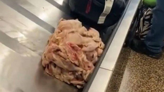  ‘Mala’ de frango cru aparece em esteira de bagagens de aeroporto nos EUA