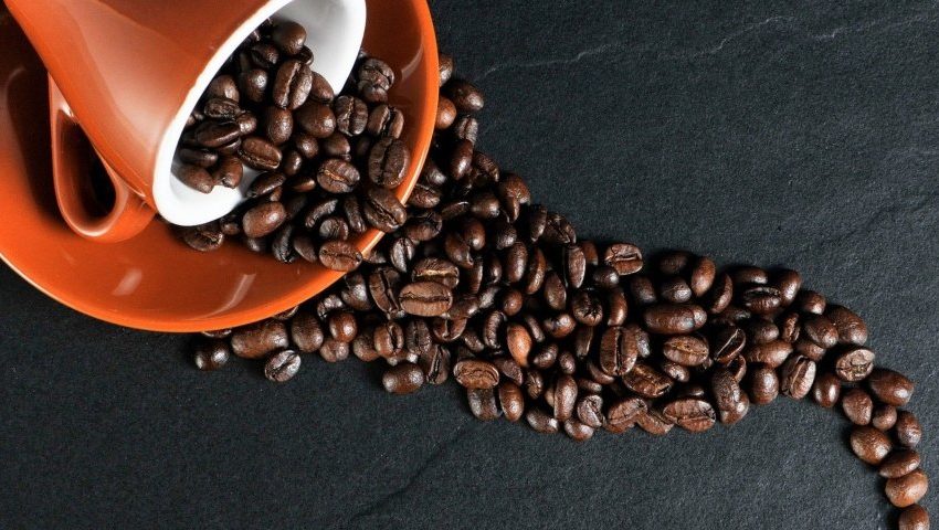  COMO O CLIMA PODE ESTRAGAR O GOSTO DO CAFÉ?