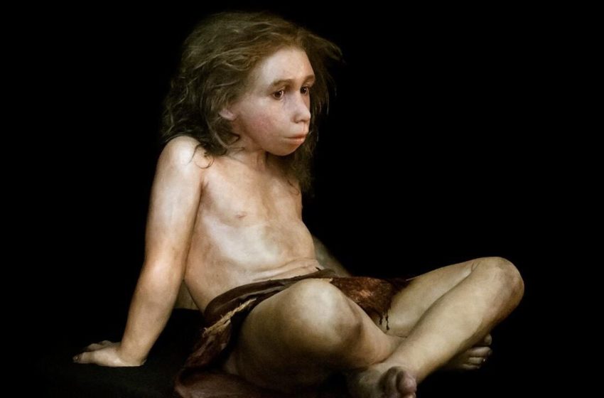  Fêmeas humanas modernas e neandertais masculinos tinham dificuldade em fazer bebês. Aqui está o motivo