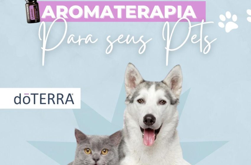  Conheçam os benefícios da aromaterapia para seu pet