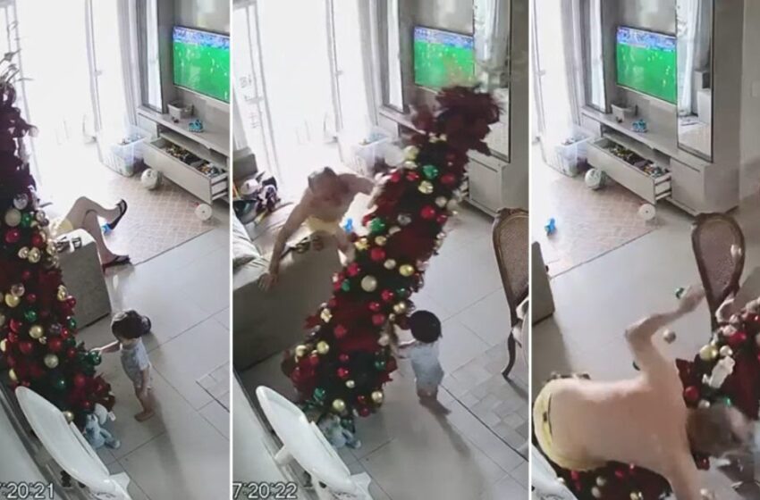  Avô derruba árvore de Natal ao tentar proteger neto e viraliza; veja vídeo