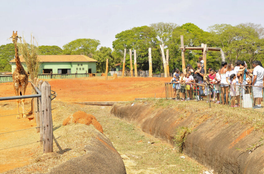  Zoo de Brasília suspende Festa Julina para ampliar Colônia de Feras