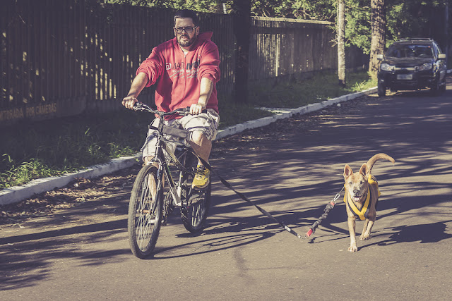  Bikejoring – Uma derivação do Canicross